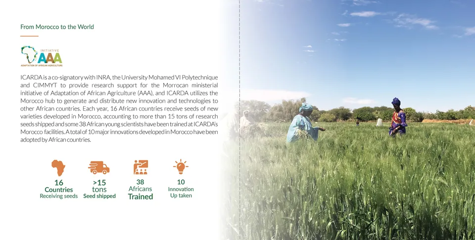 Booklet Design – ICARDA — ICARDA Morocco Booklet Page 15