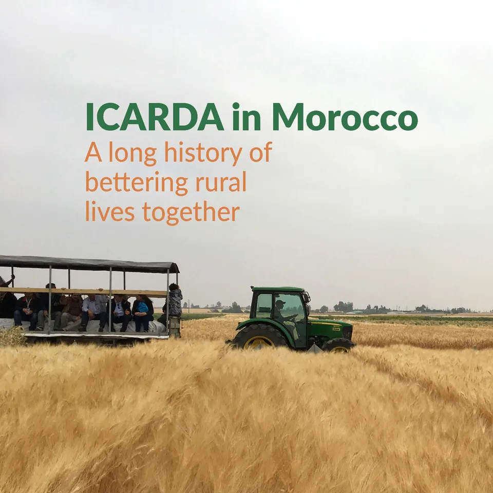 Booklet Design – ICARDA — ICARDA Morocco Booklet Page 01