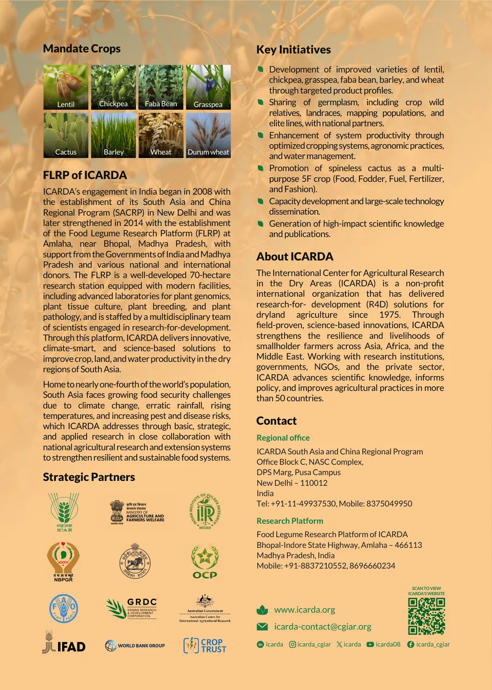 Brochure Design – ICARDA — ICARDA FLRP vat a glance, page 2