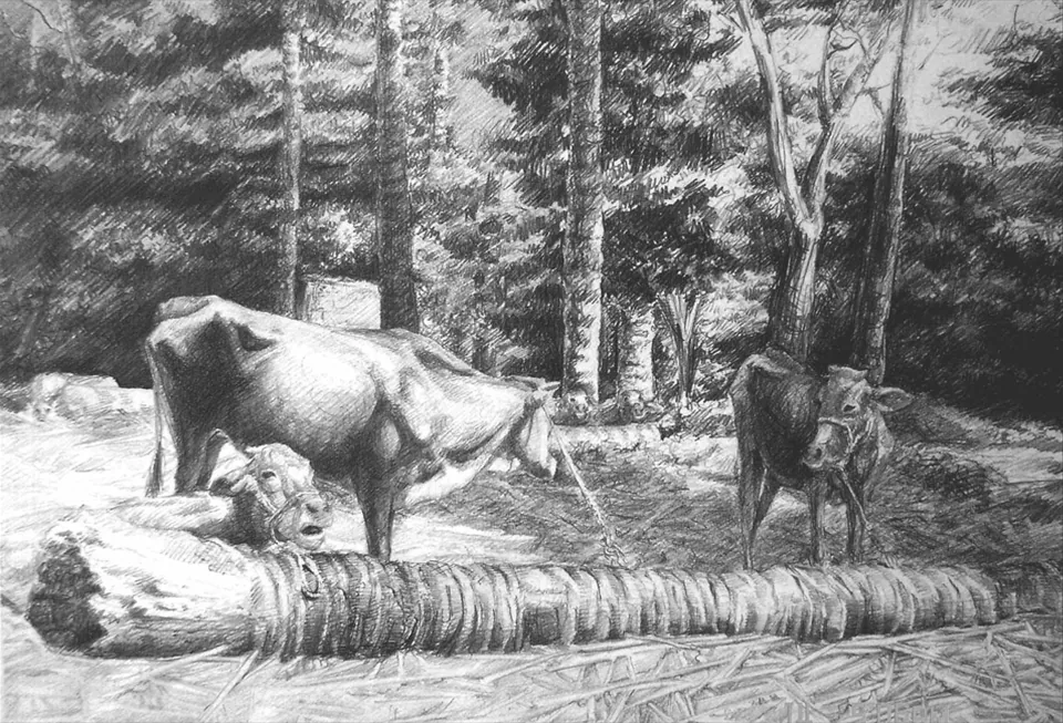Drawing – Pencil on Paper — AW01 drawing02