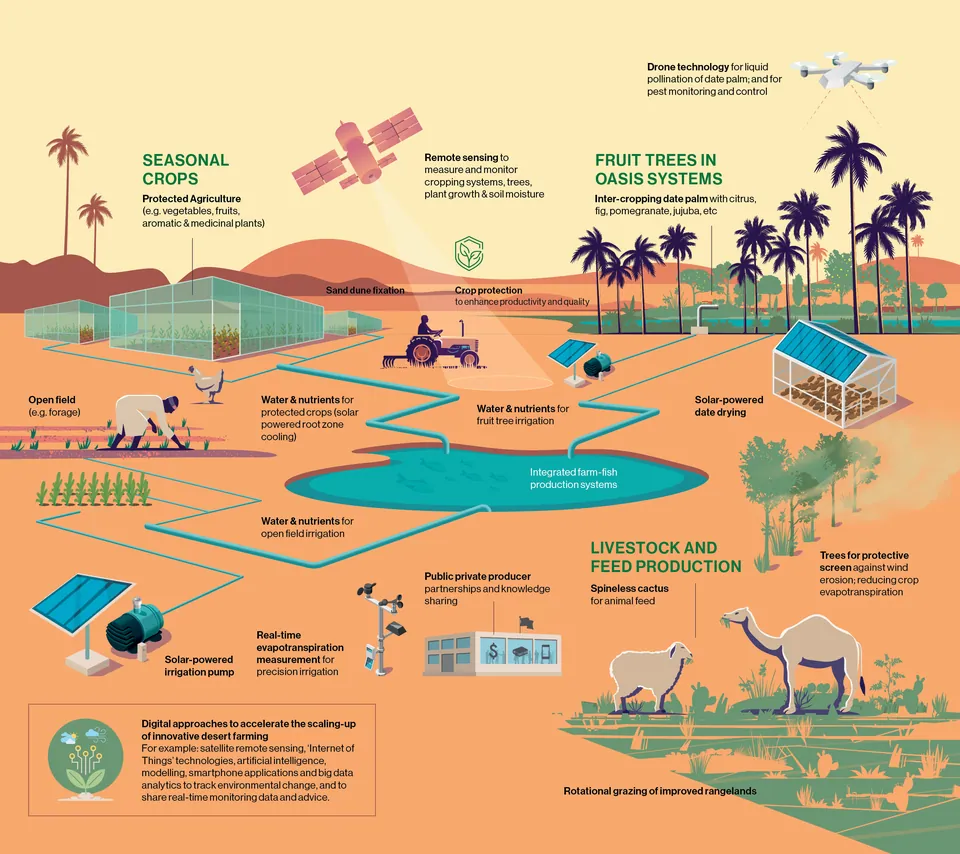 Infographic Design – ICARDA — Infographic 3