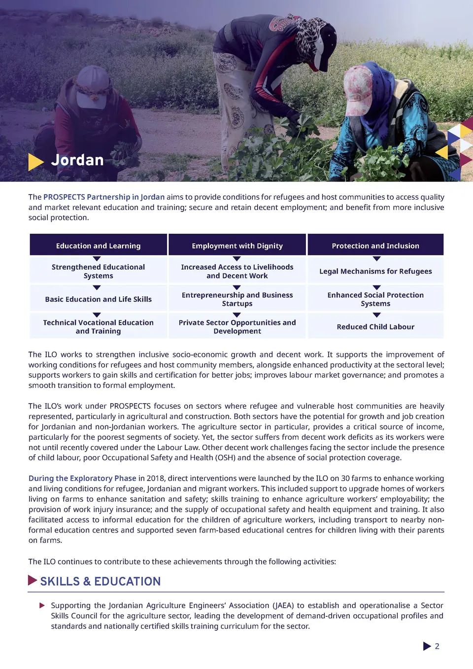 Report Layout – ILO — 2
