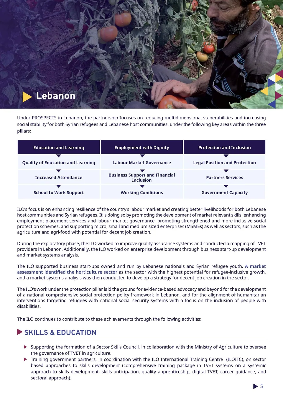 Report Layout – ILO — 5