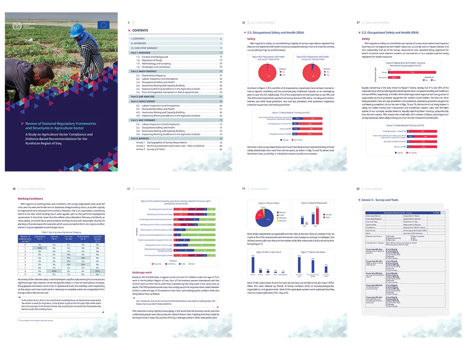 Visual Identity Layout – ILO